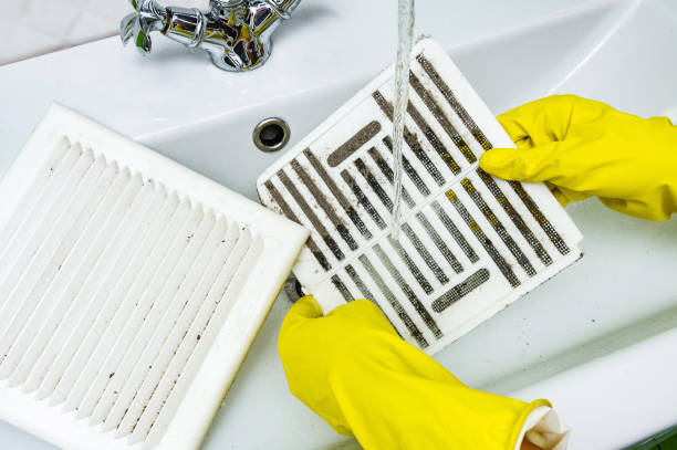 Best Home Air Vent Cleaning  in Clinton, MI